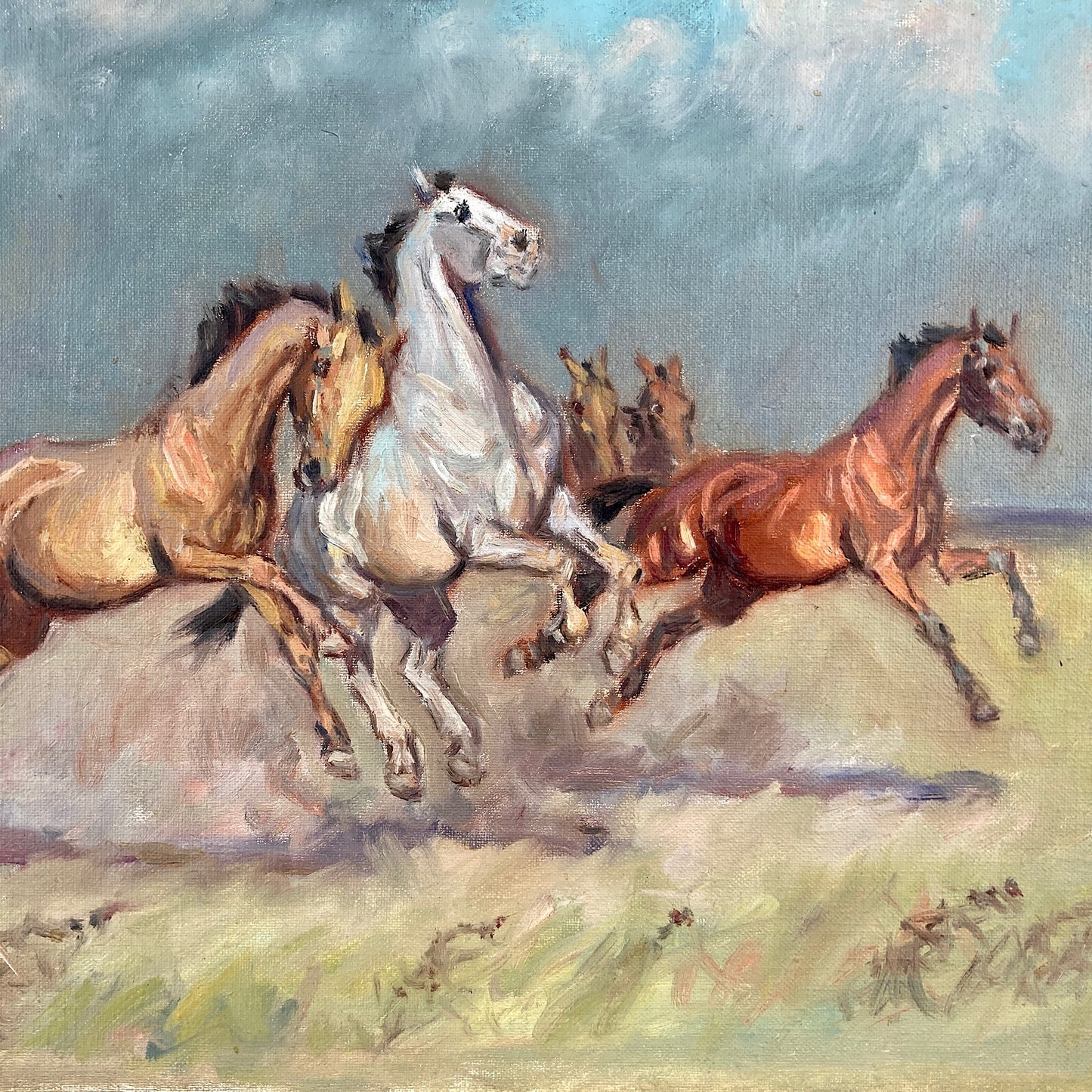 Wild Horses