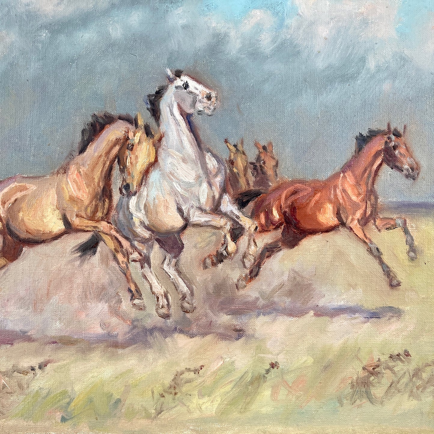 Wild Horses