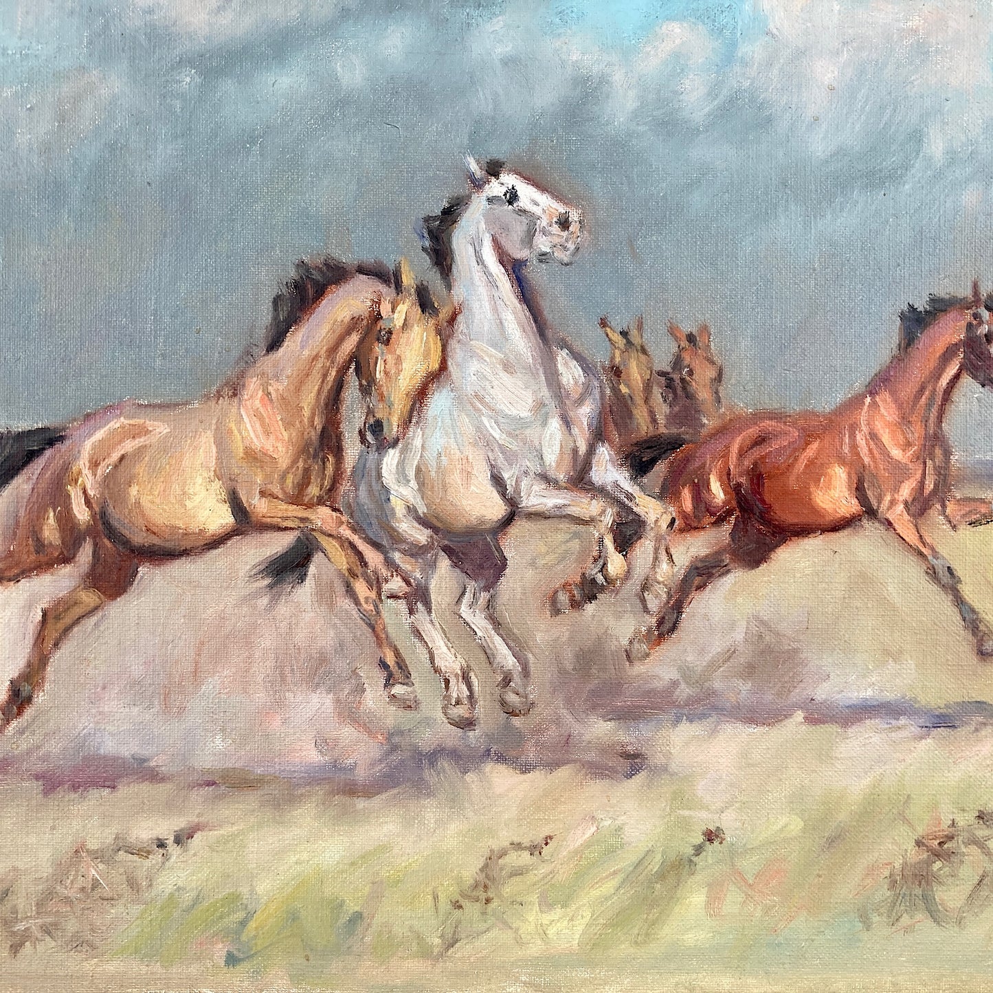 Wild Horses