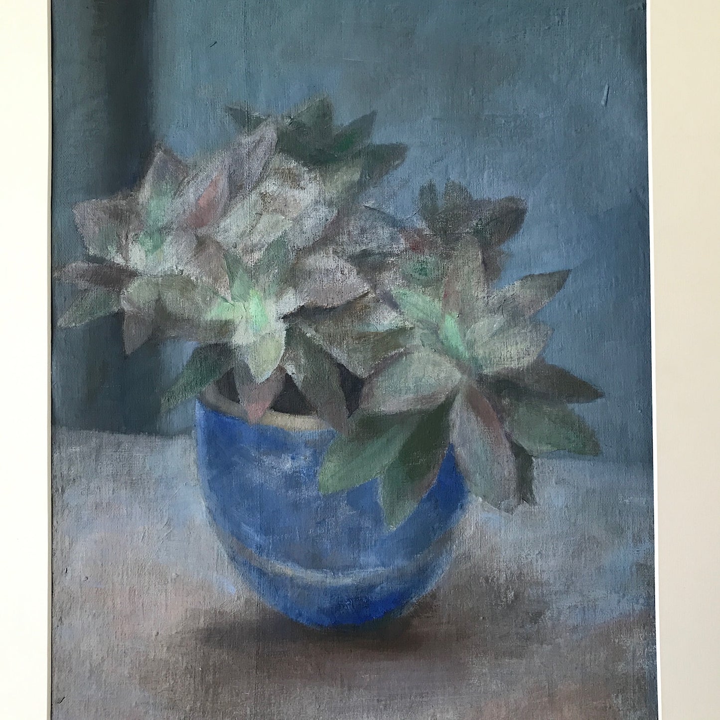 Succulents in Blue Pot