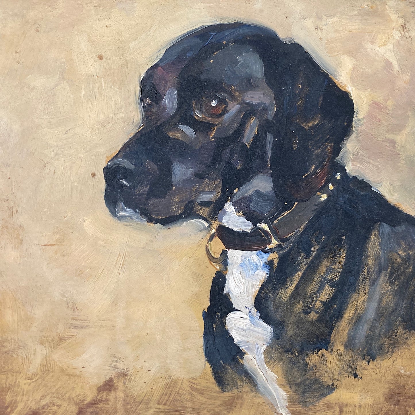 Antique English Dog Oil Painting – Circa 1910-30 Oil on Board