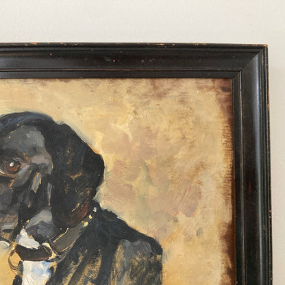 Antique English Dog Oil Painting – Circa 1910-30 Oil on Board